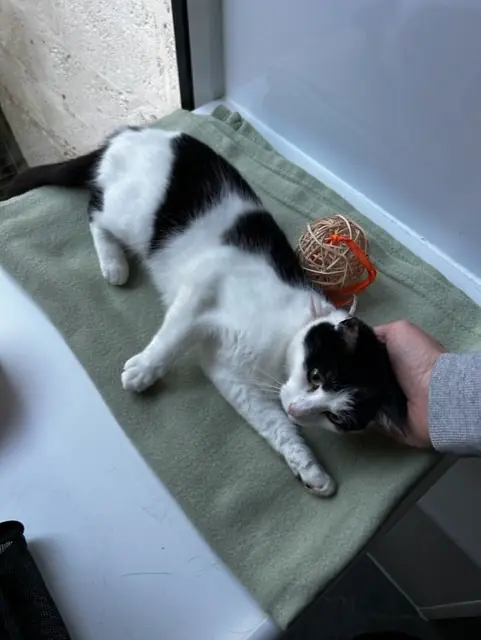 Dotty - Gallery photo 2