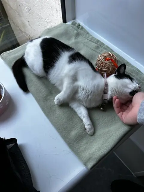 Dotty - Gallery photo 1