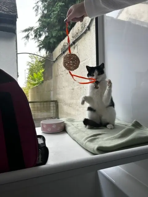 Dotty - Gallery photo 3