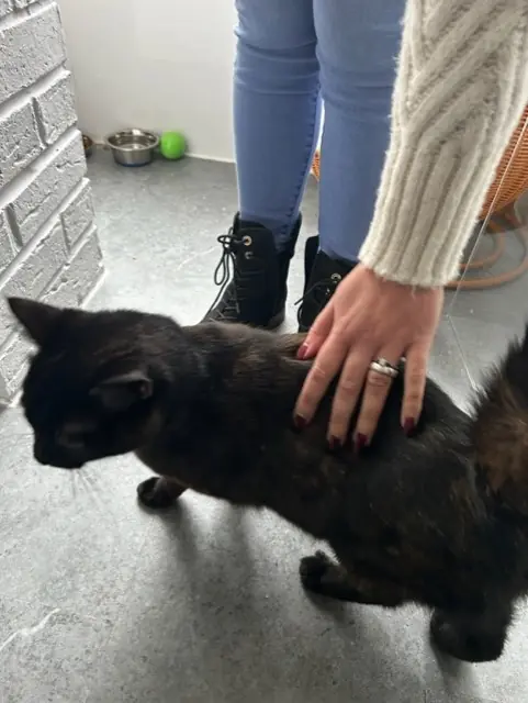 Naho - Gallery photo 2