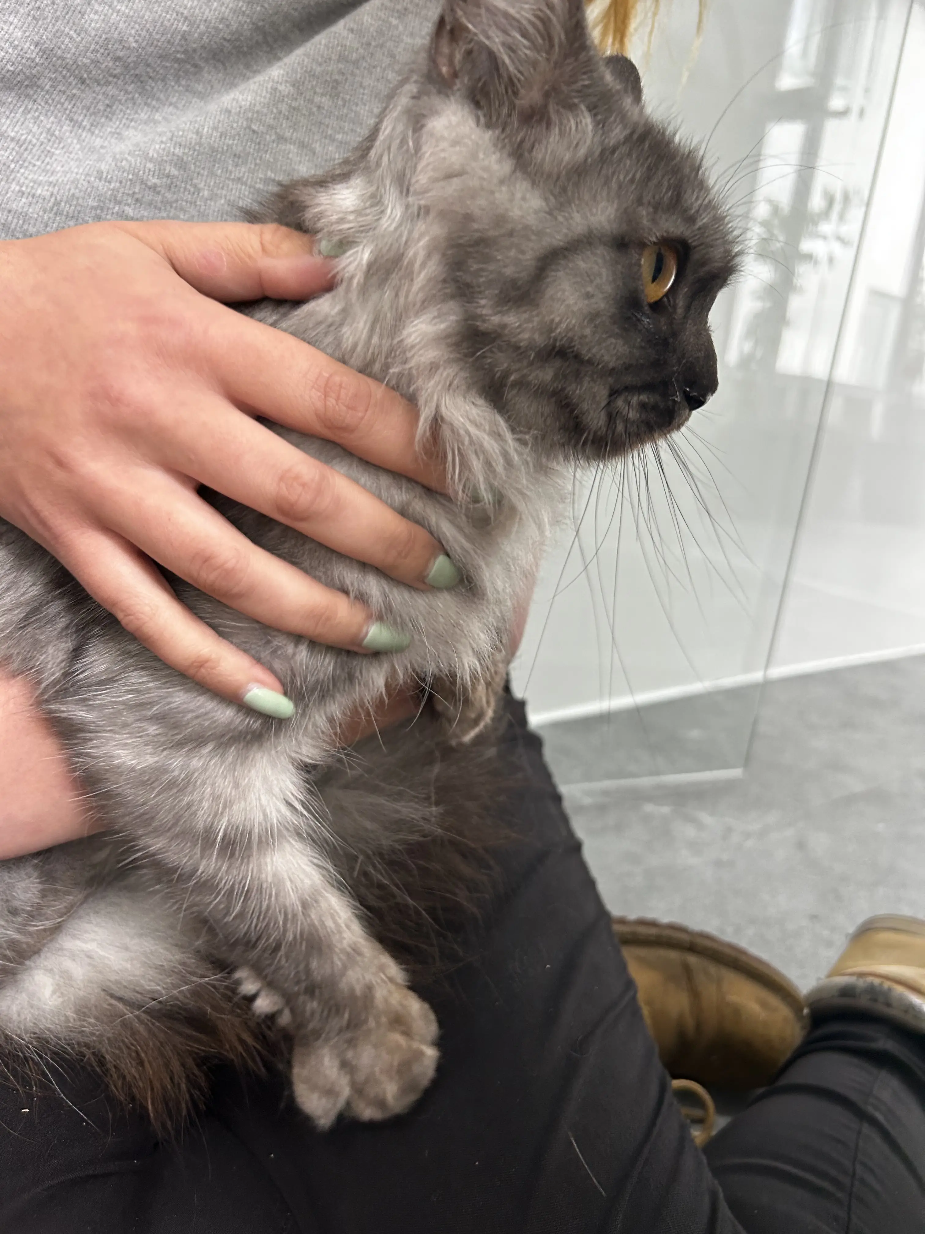 Nancy - Gallery photo 2