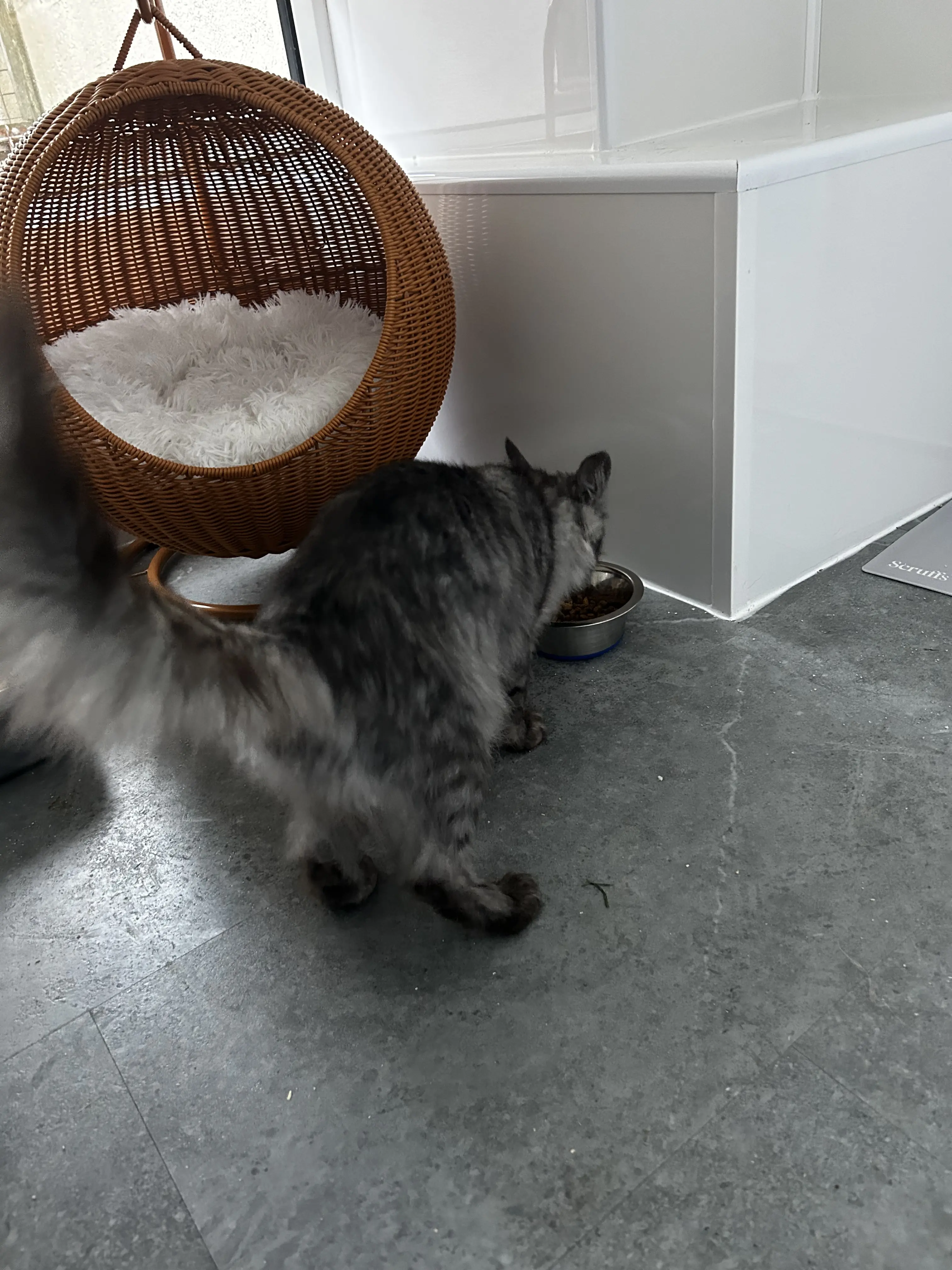 Nancy - Gallery photo 3