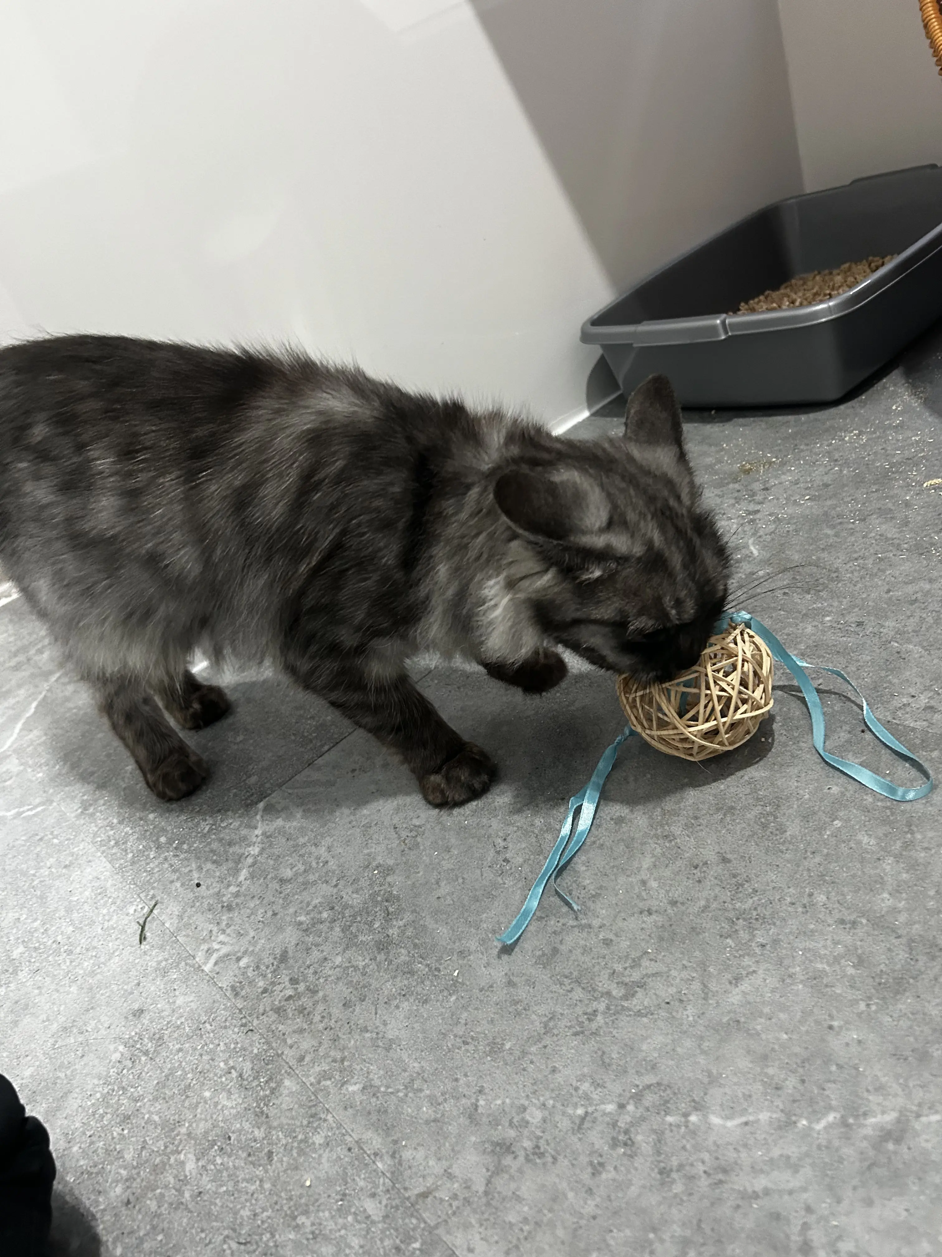 Nancy - Gallery photo 1