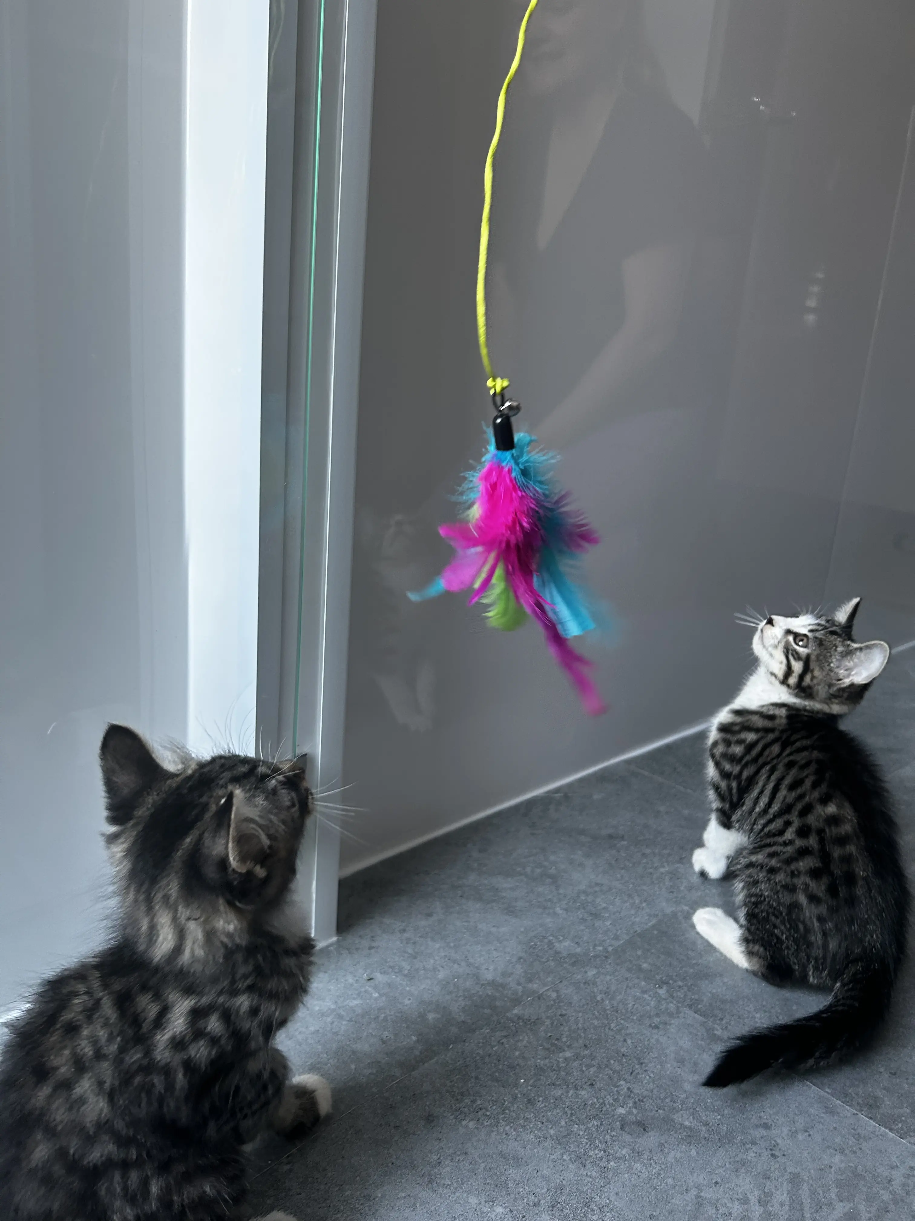 Ted & Fred - Gallery photo 3