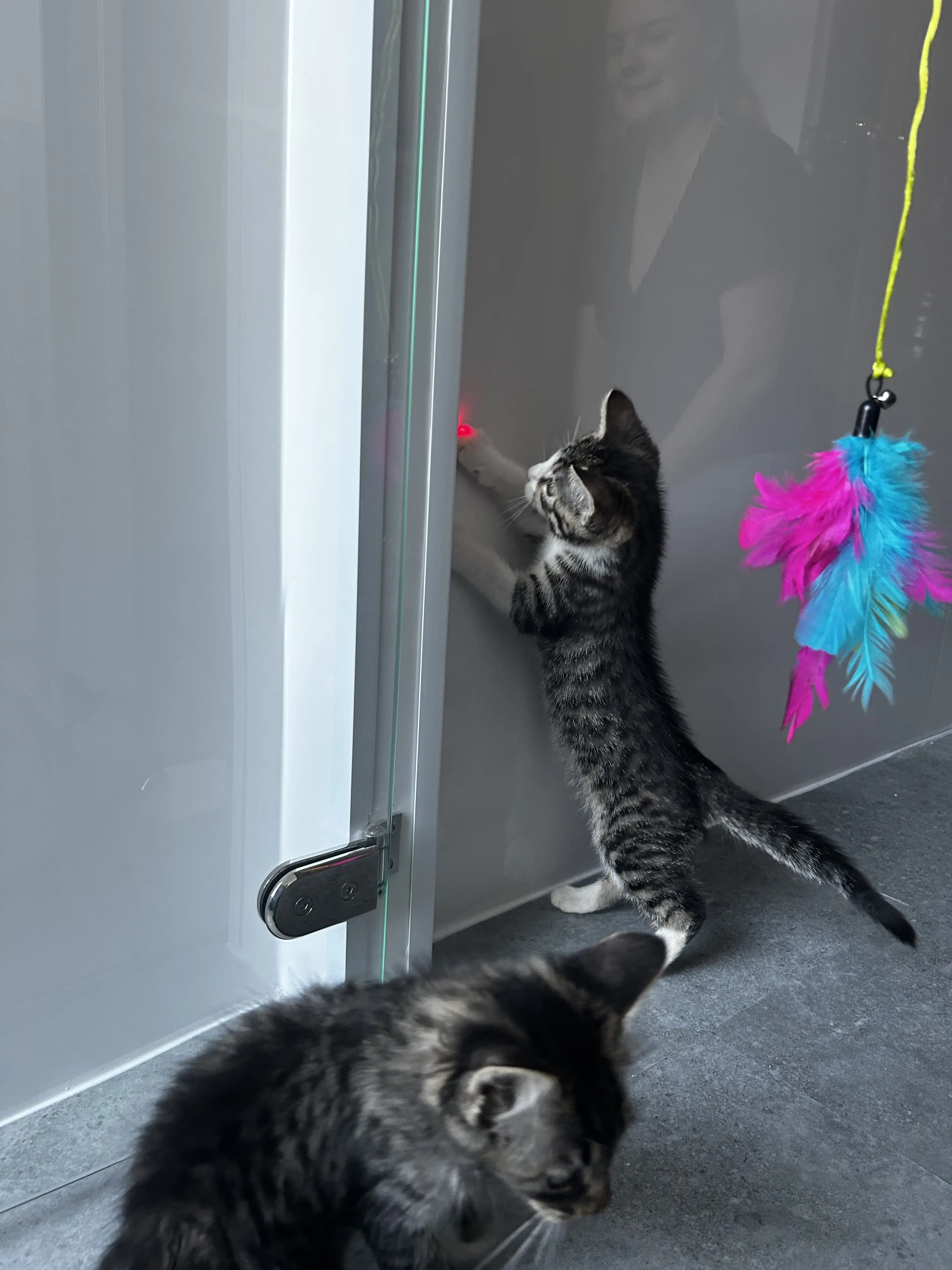 Ted & Fred - Gallery photo 2