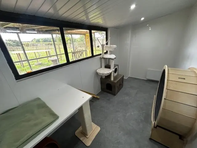 Cattery room